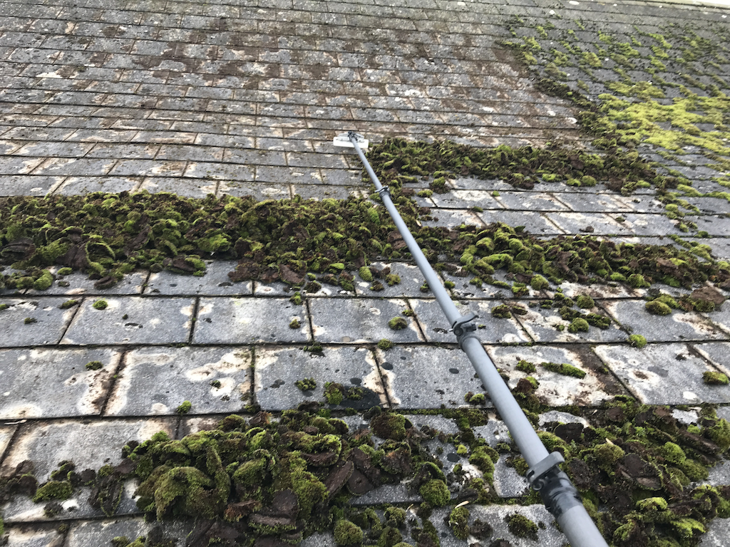 Roof Cleaning & Moss Removal